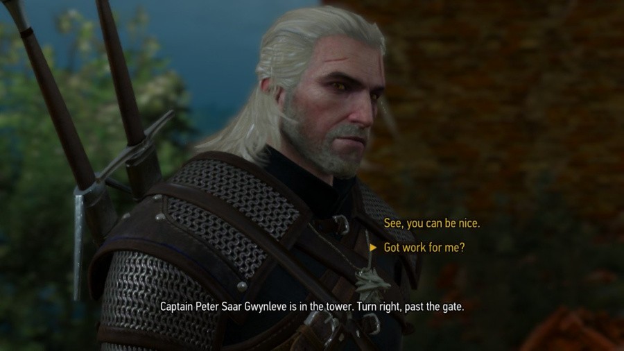 The Witcher 3: Wild Hunt - Complete Edition Screenshot