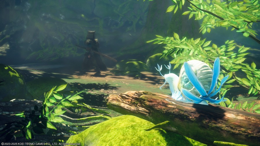 Wild Hearts S Screenshot