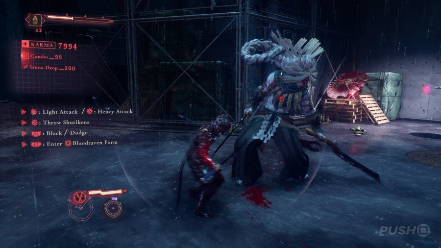 Ninja Gaiden 4 Screenshot