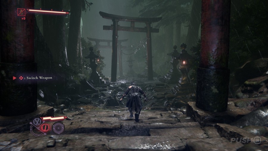 Ninja Gaiden 4 Screenshot