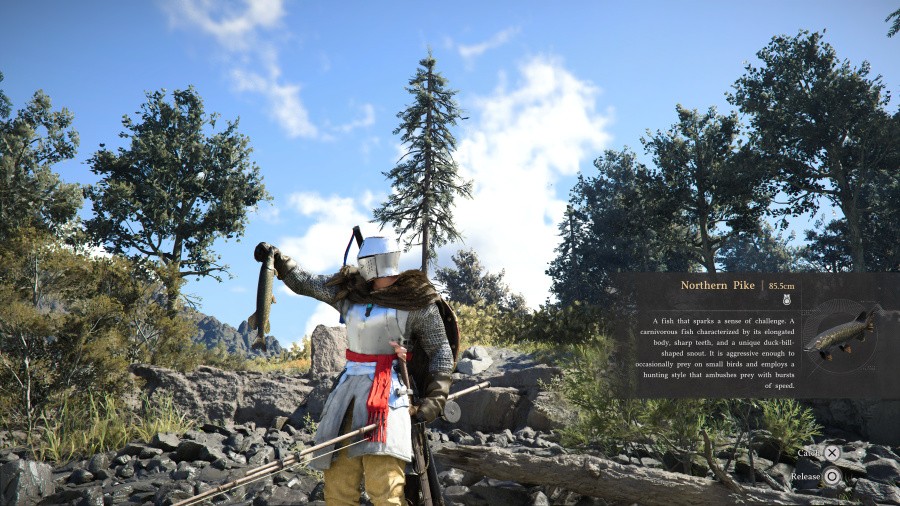 Crimson Desert Screenshot