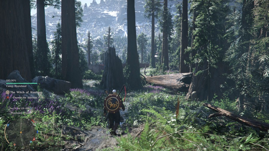 Crimson Desert Screenshot