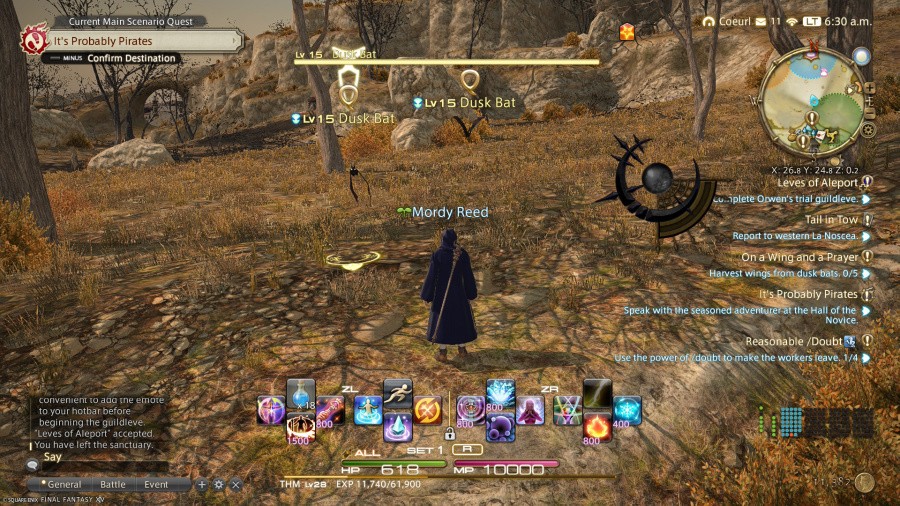 Final Fantasy XIV Online Screenshot