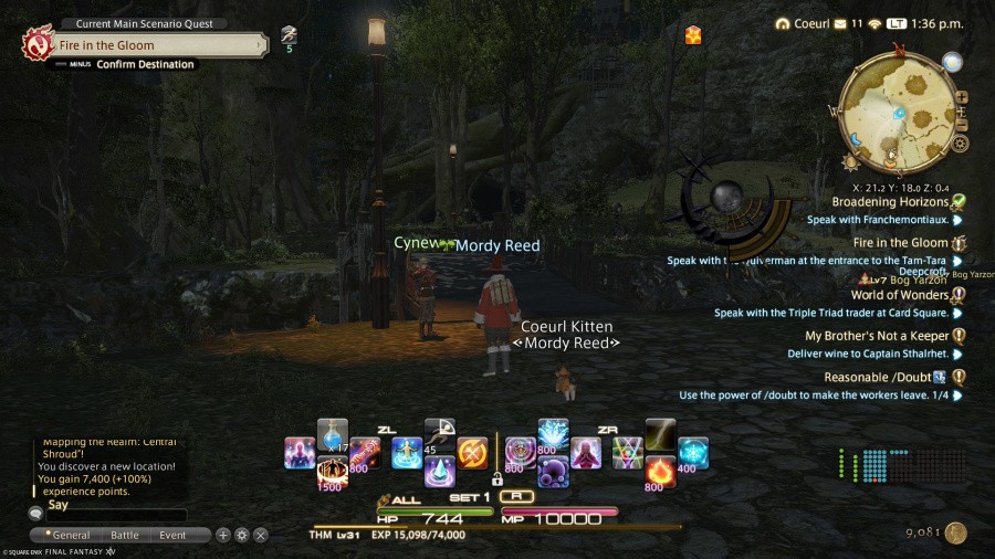 Final Fantasy XIV Online Screenshot