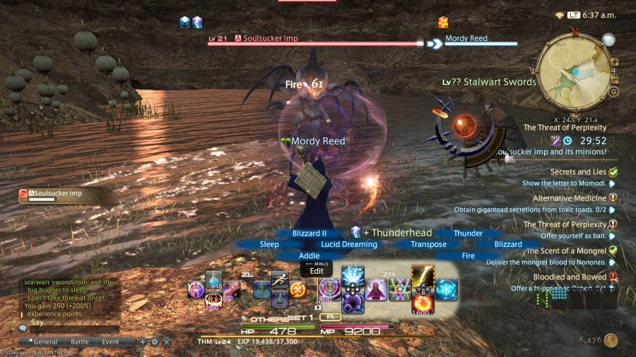 Final Fantasy XIV Online Screenshot