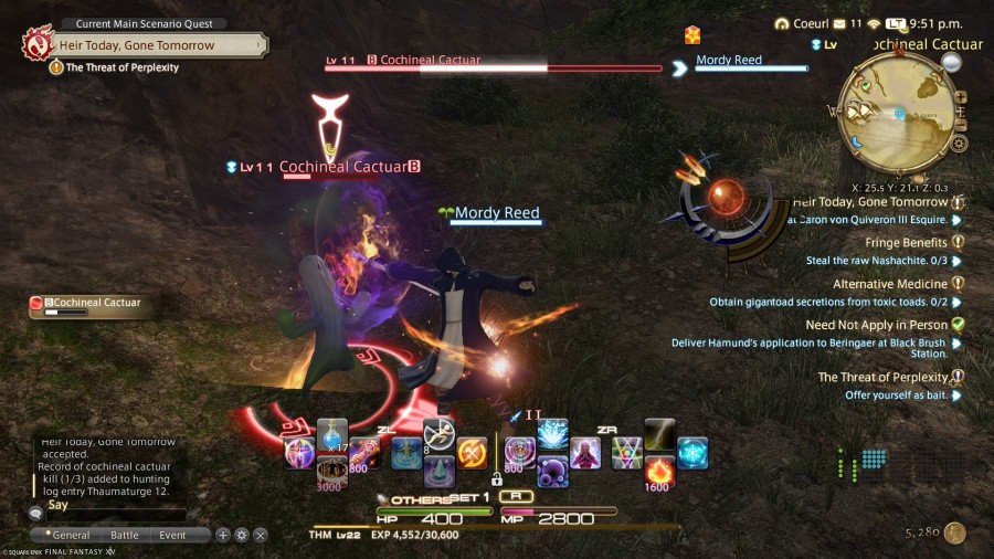 Final Fantasy XIV Online Screenshot