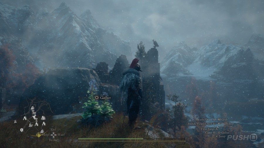Dragon's Dogma 2: Dark Arisen Screenshot