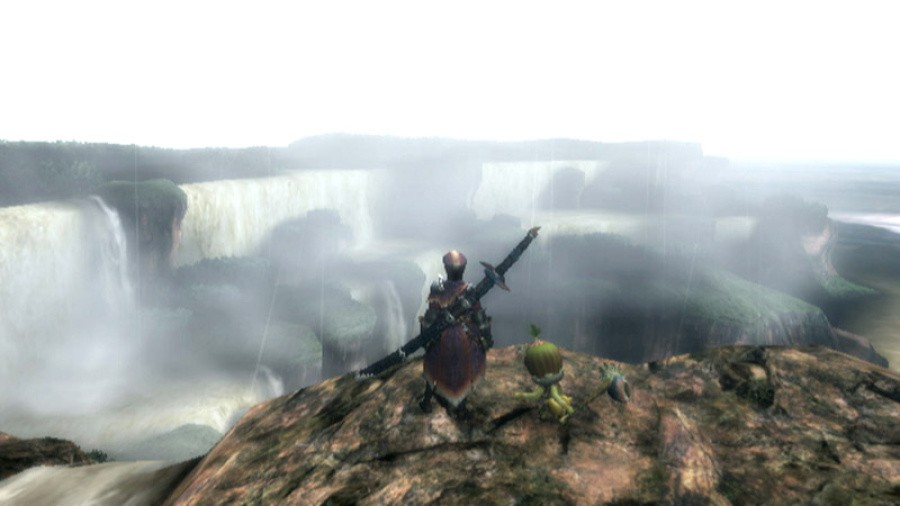 Monster Hunter 3 (Tri~) Screenshot