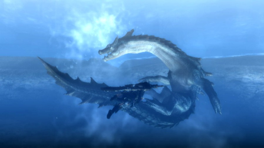 Monster Hunter 3 (Tri~) Screenshot