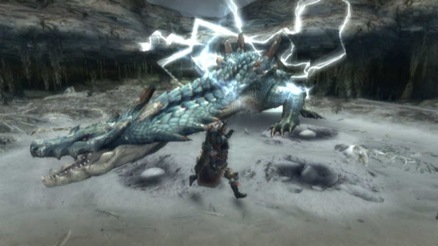 Monster Hunter 3 (Tri~) Screenshot