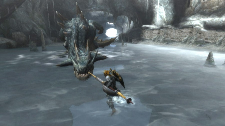 Monster Hunter 3 (Tri~) Screenshot