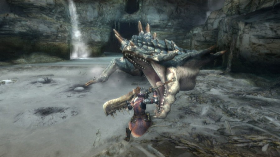 Monster Hunter 3 (Tri~) Screenshot
