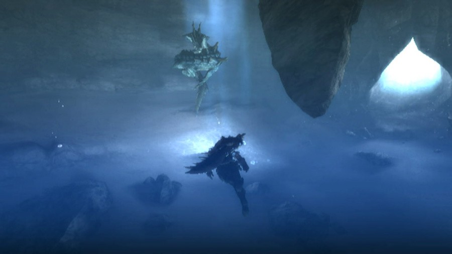 Monster Hunter 3 (Tri~) Screenshot