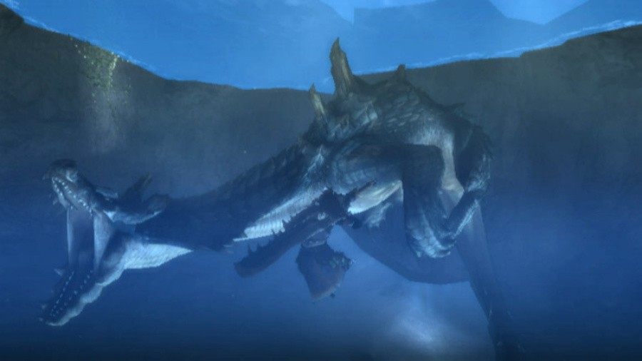 Monster Hunter 3 (Tri~) Screenshot