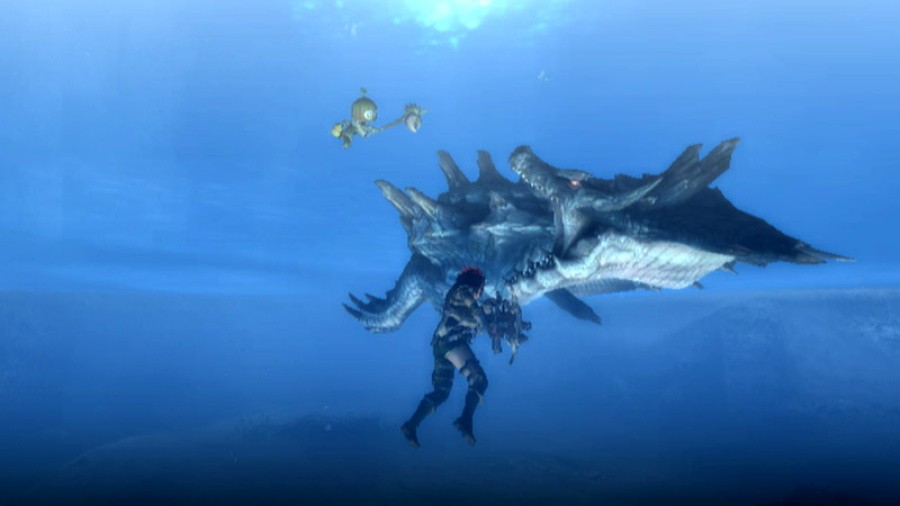 Monster Hunter 3 (Tri~) Screenshot