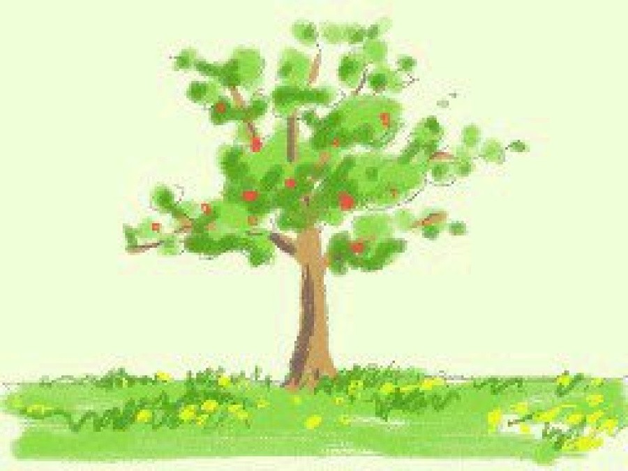 Art Academy Screenshot