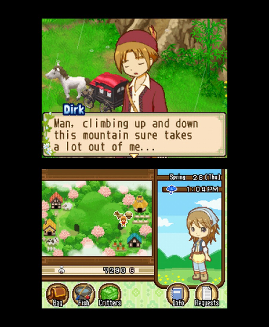 Harvest Moon DS: The Tale of Two Towns Screenshot