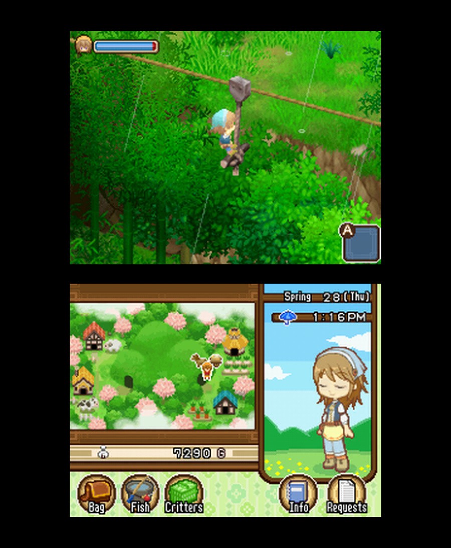 Harvest Moon DS: The Tale of Two Towns Screenshot