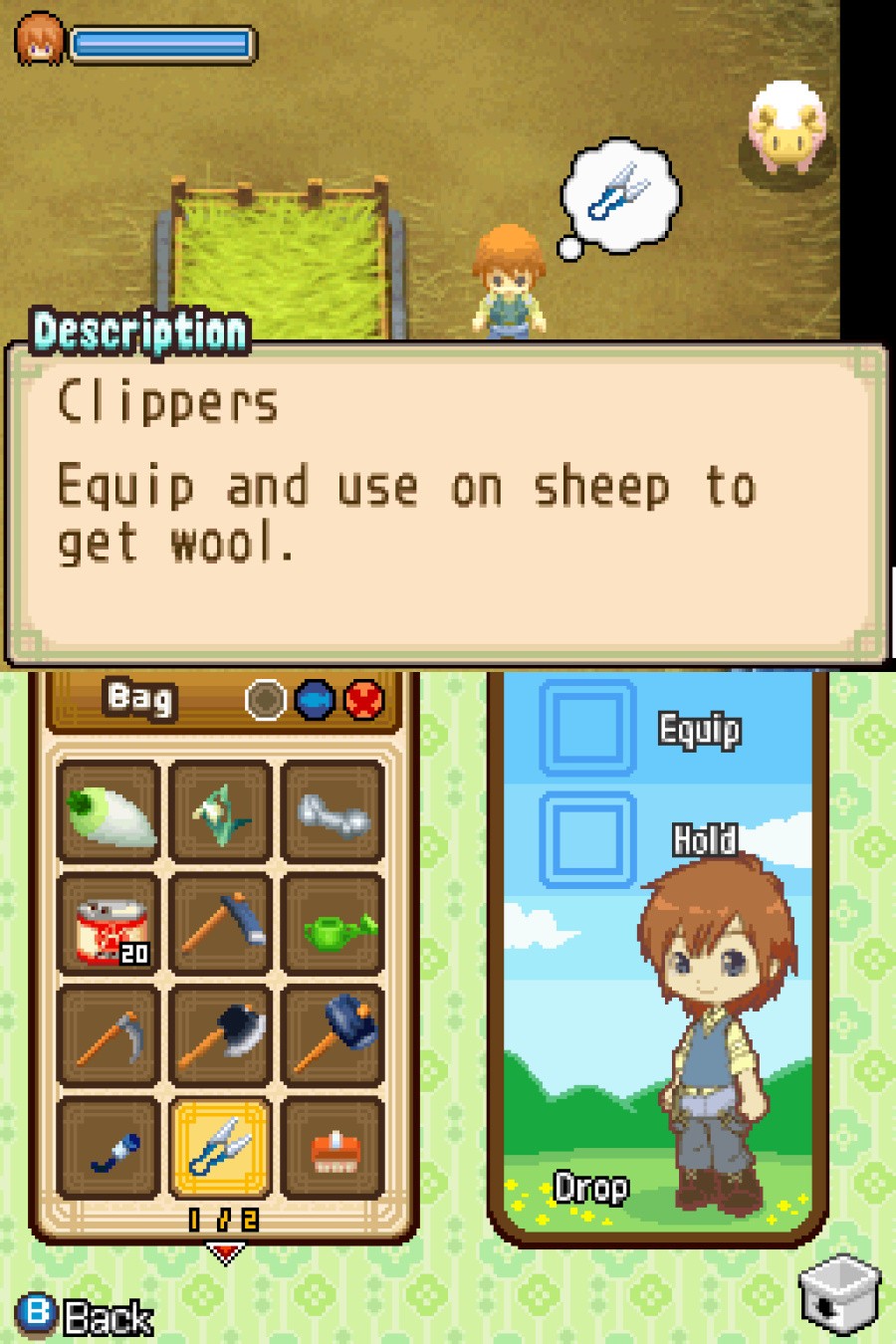 Harvest Moon DS: The Tale of Two Towns Screenshot