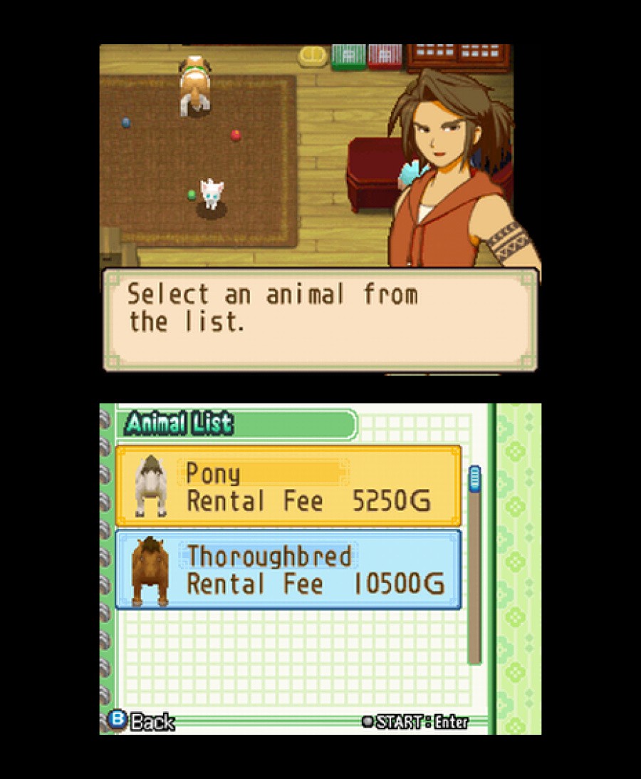 Harvest Moon DS: The Tale of Two Towns Screenshot