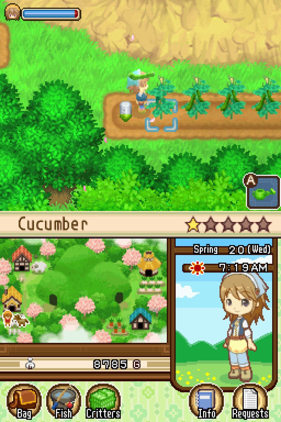 Harvest Moon DS: The Tale of Two Towns Screenshot