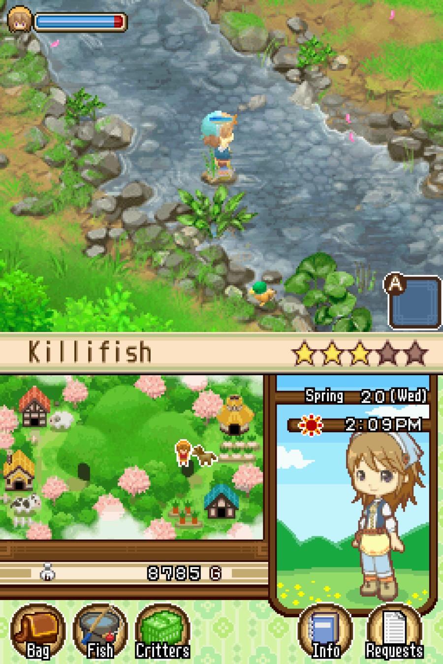 Harvest Moon DS: The Tale of Two Towns Screenshot