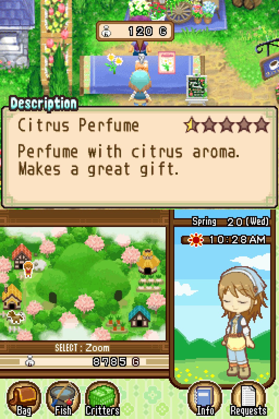 Harvest Moon DS: The Tale of Two Towns Screenshot