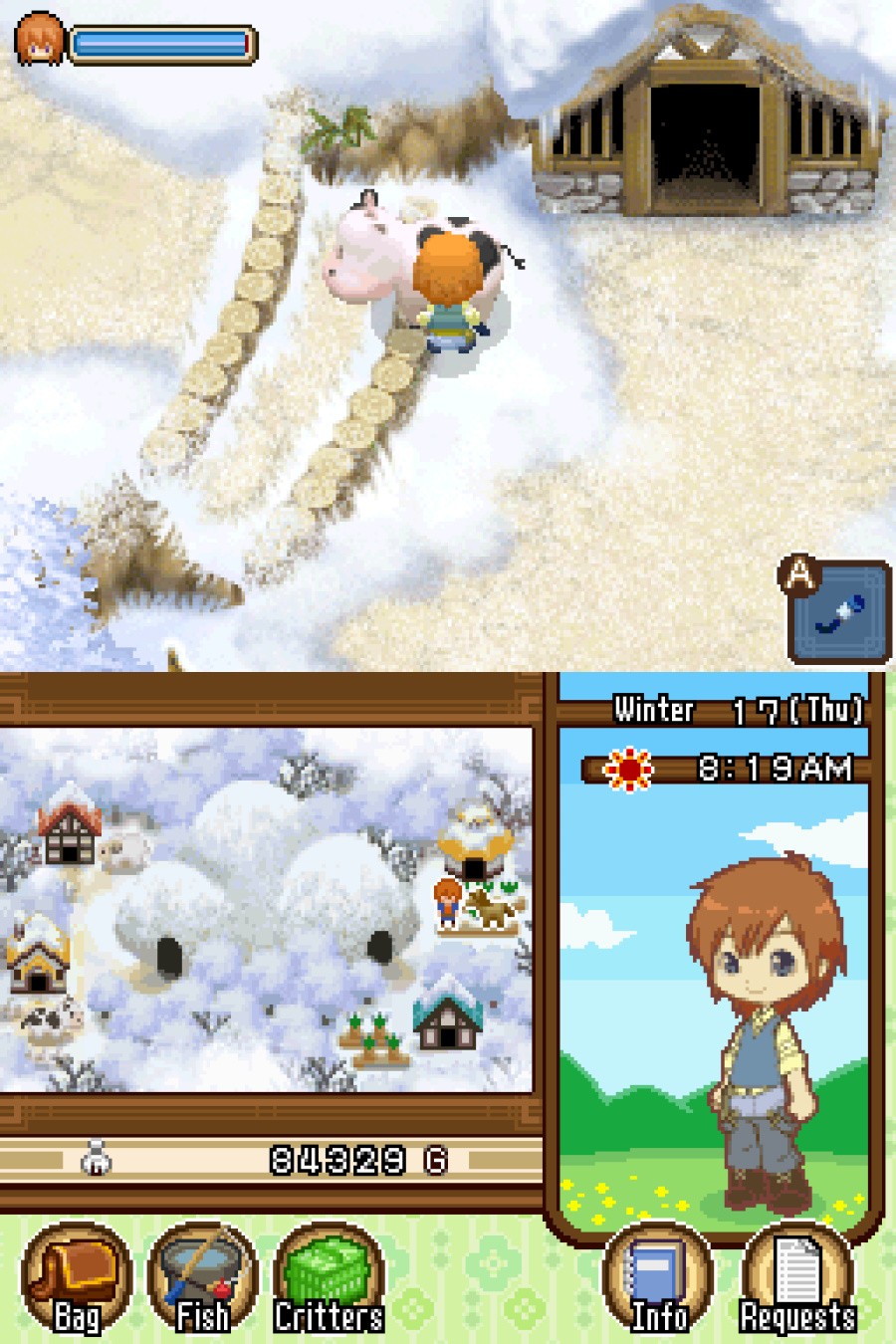Harvest Moon DS: The Tale of Two Towns Screenshot