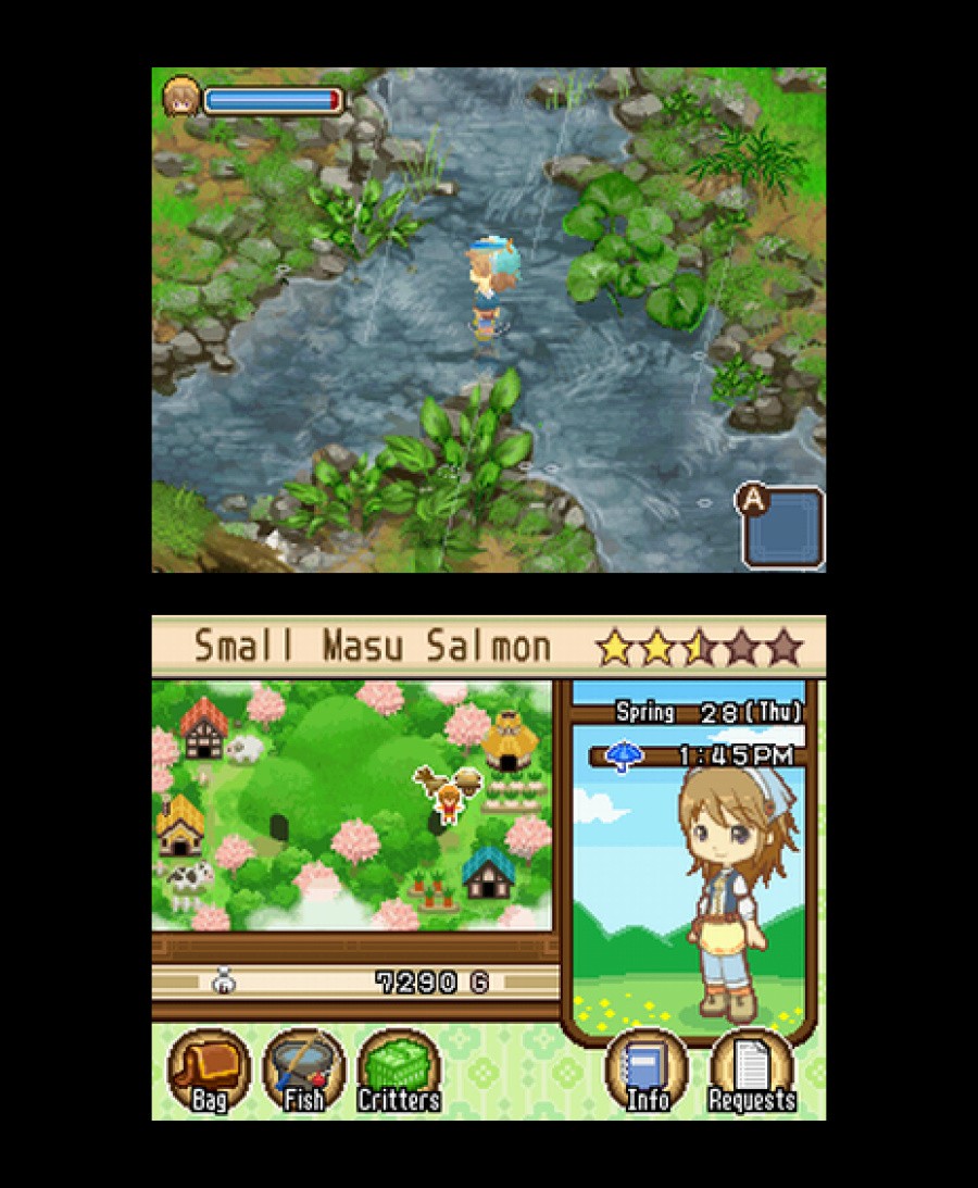Harvest Moon DS: The Tale of Two Towns Screenshot