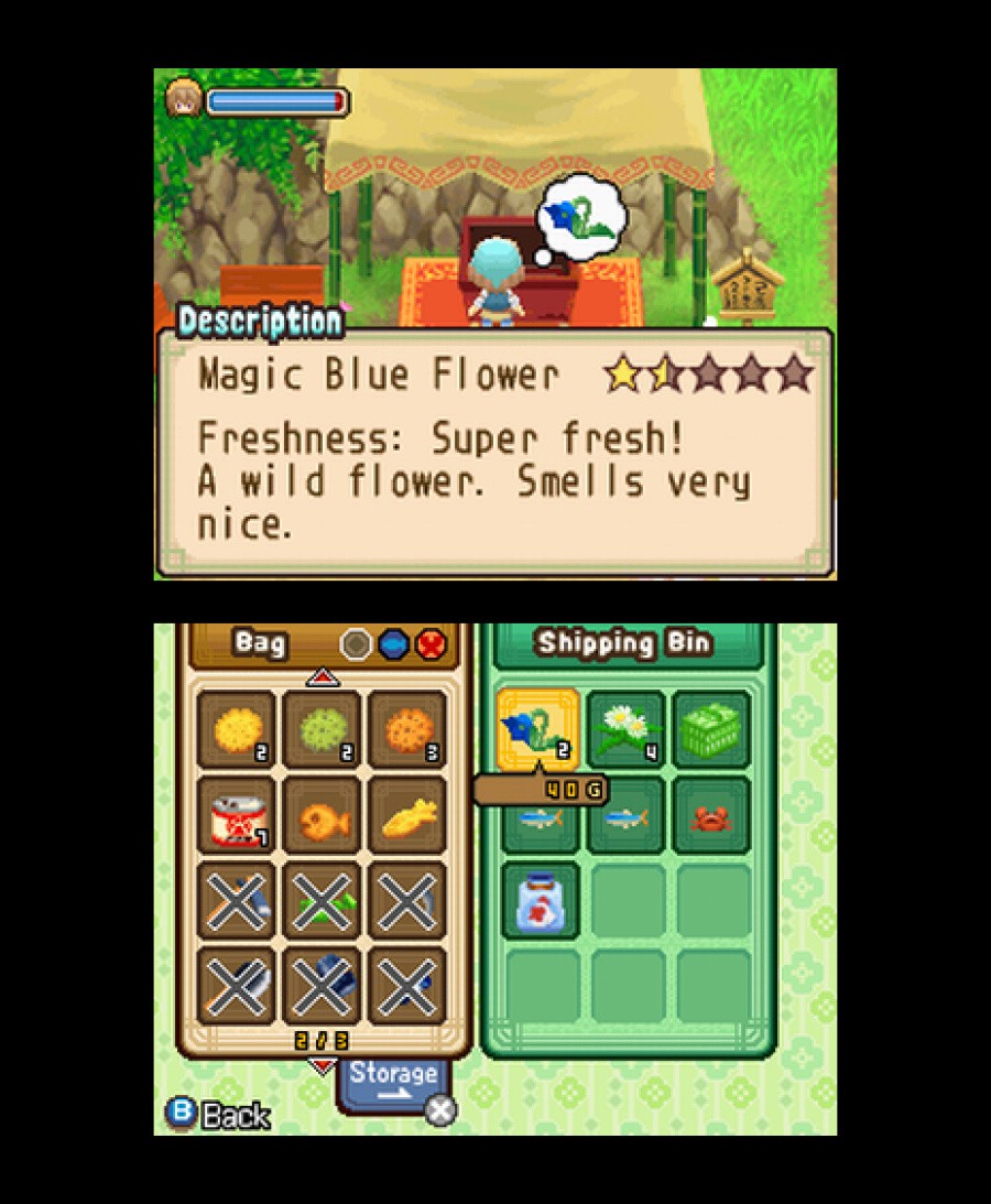 Harvest Moon DS: The Tale of Two Towns Screenshot