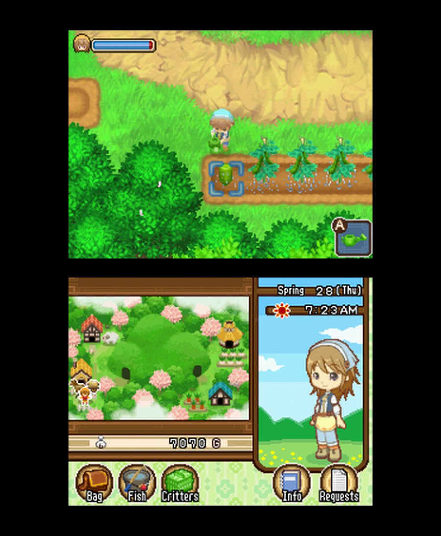 Harvest Moon DS: The Tale of Two Towns Screenshot