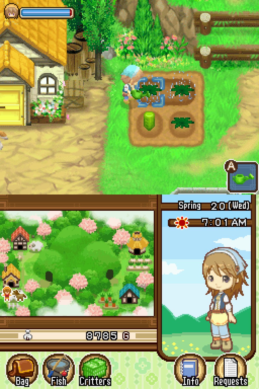 Harvest Moon DS: The Tale of Two Towns Screenshot
