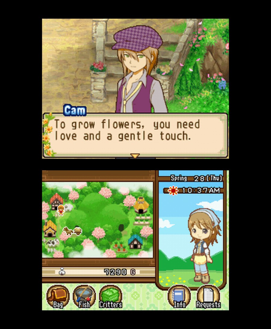 Harvest Moon DS: The Tale of Two Towns Screenshot