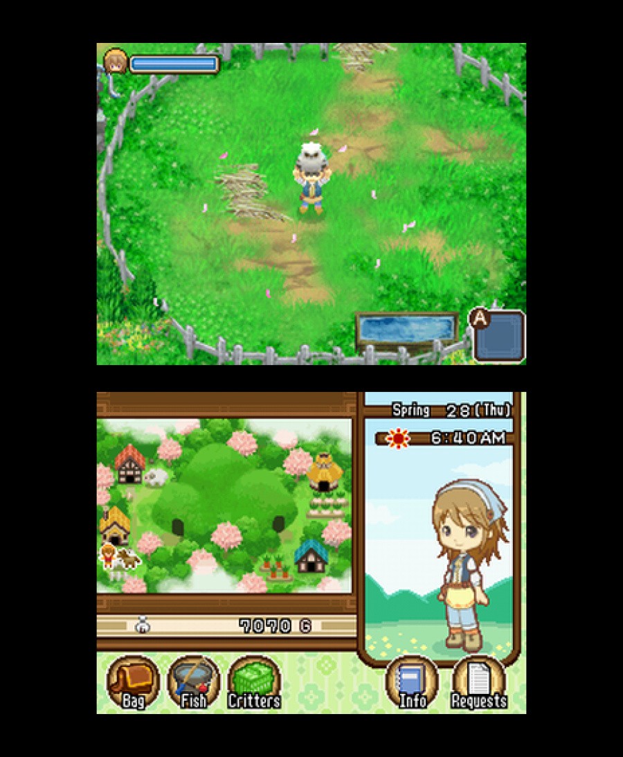 Harvest Moon DS: The Tale of Two Towns Screenshot