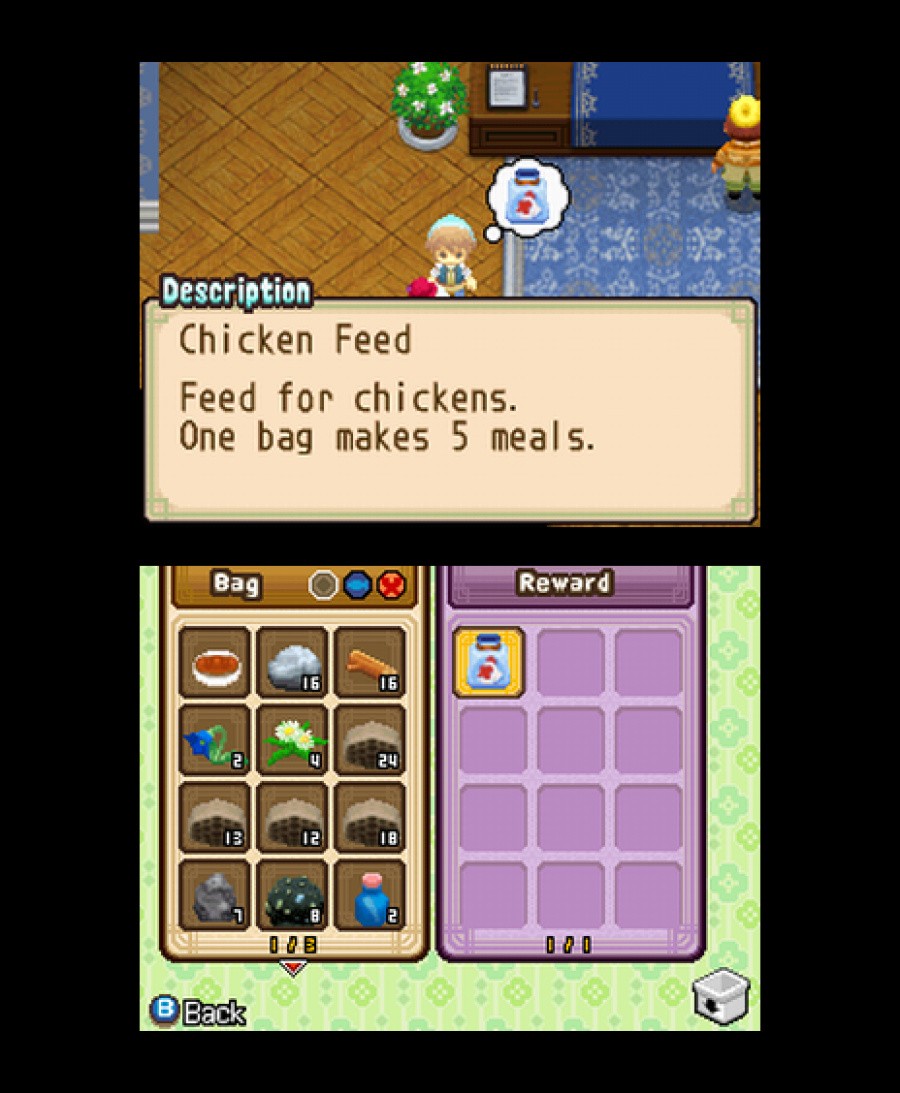 Harvest Moon DS: The Tale of Two Towns Screenshot