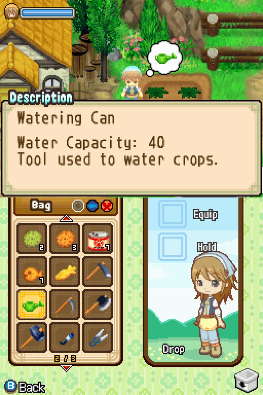 Harvest Moon DS: The Tale of Two Towns Screenshot