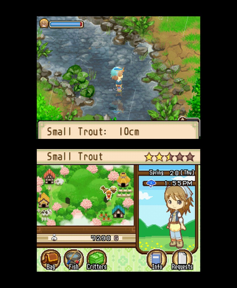 Harvest Moon DS: The Tale of Two Towns Screenshot