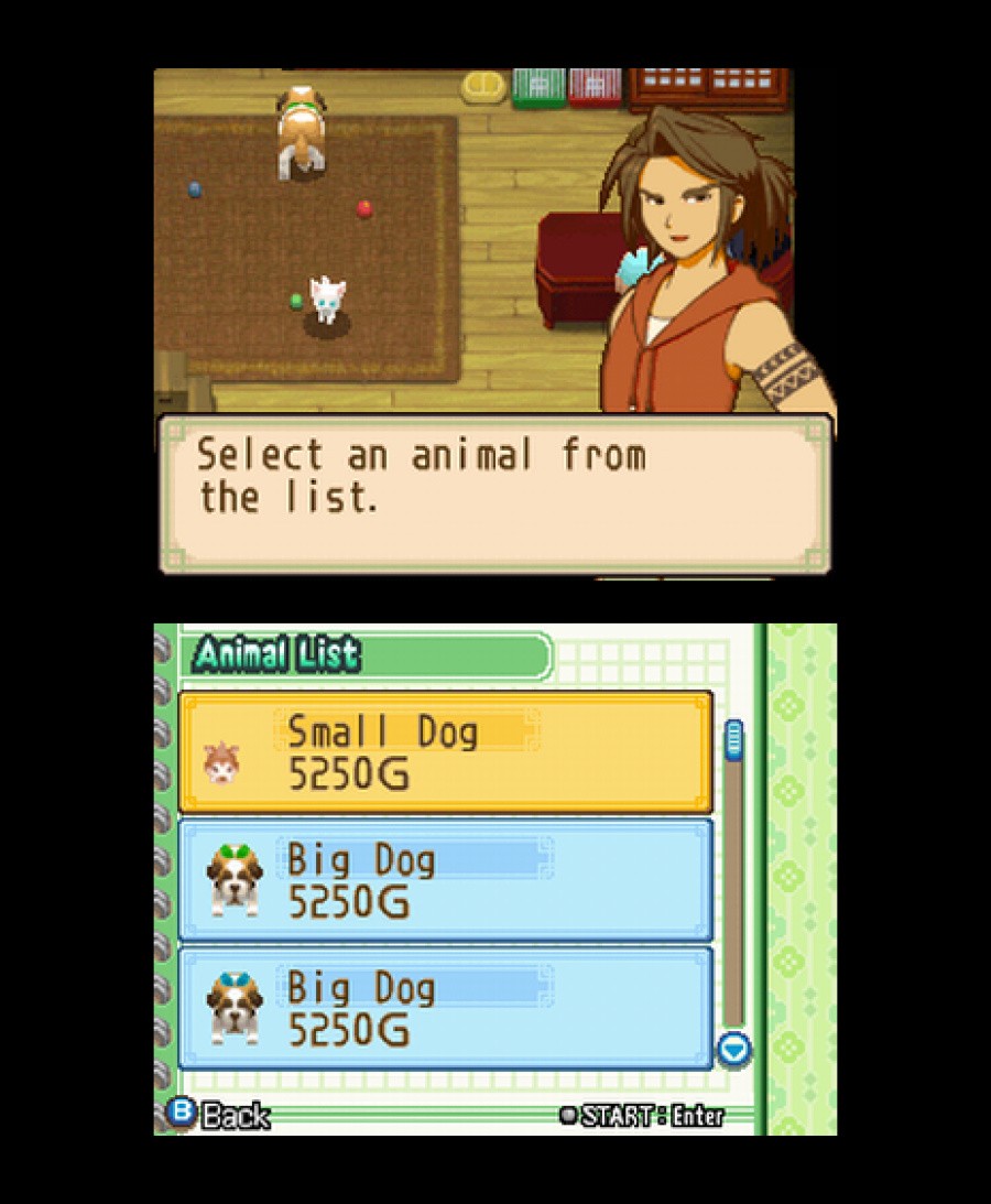 Harvest Moon DS: The Tale of Two Towns Screenshot