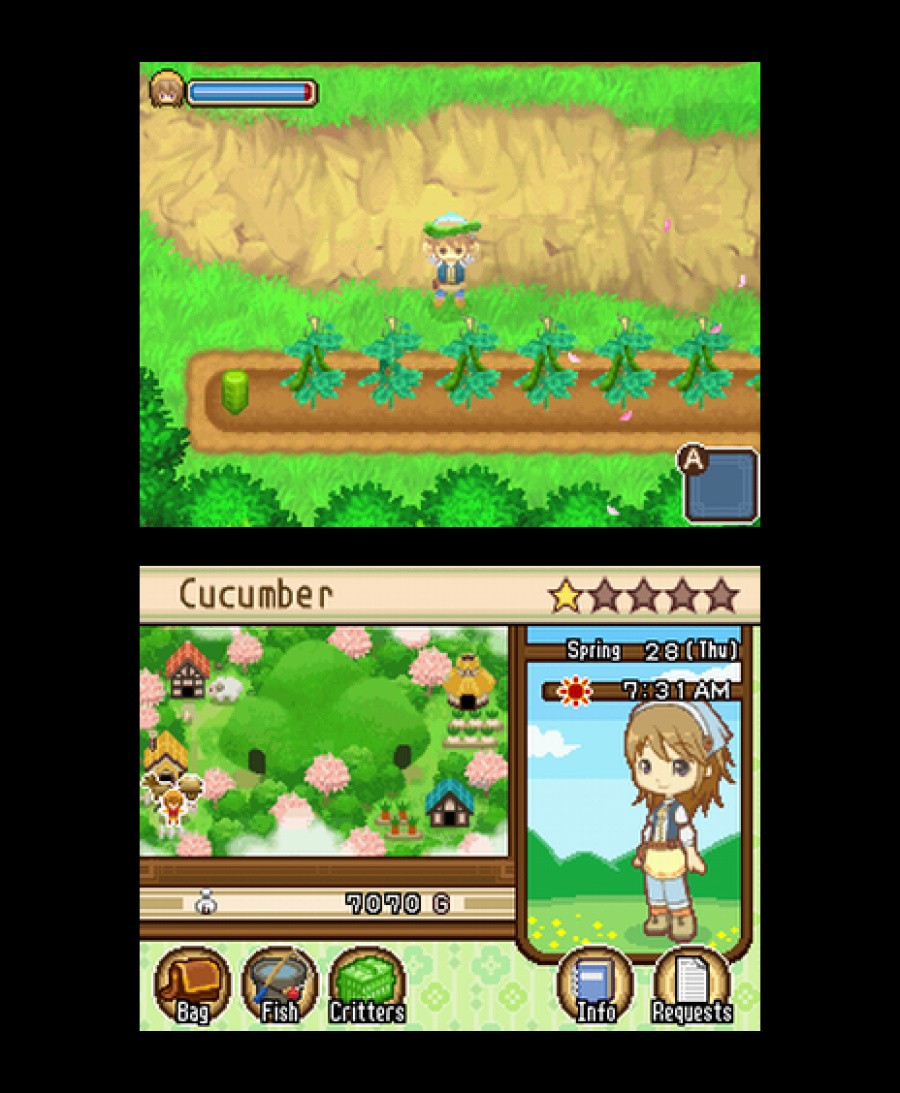 Harvest Moon DS: The Tale of Two Towns Screenshot
