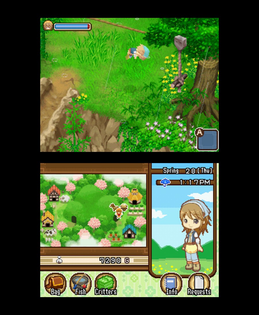 Harvest Moon DS: The Tale of Two Towns Screenshot