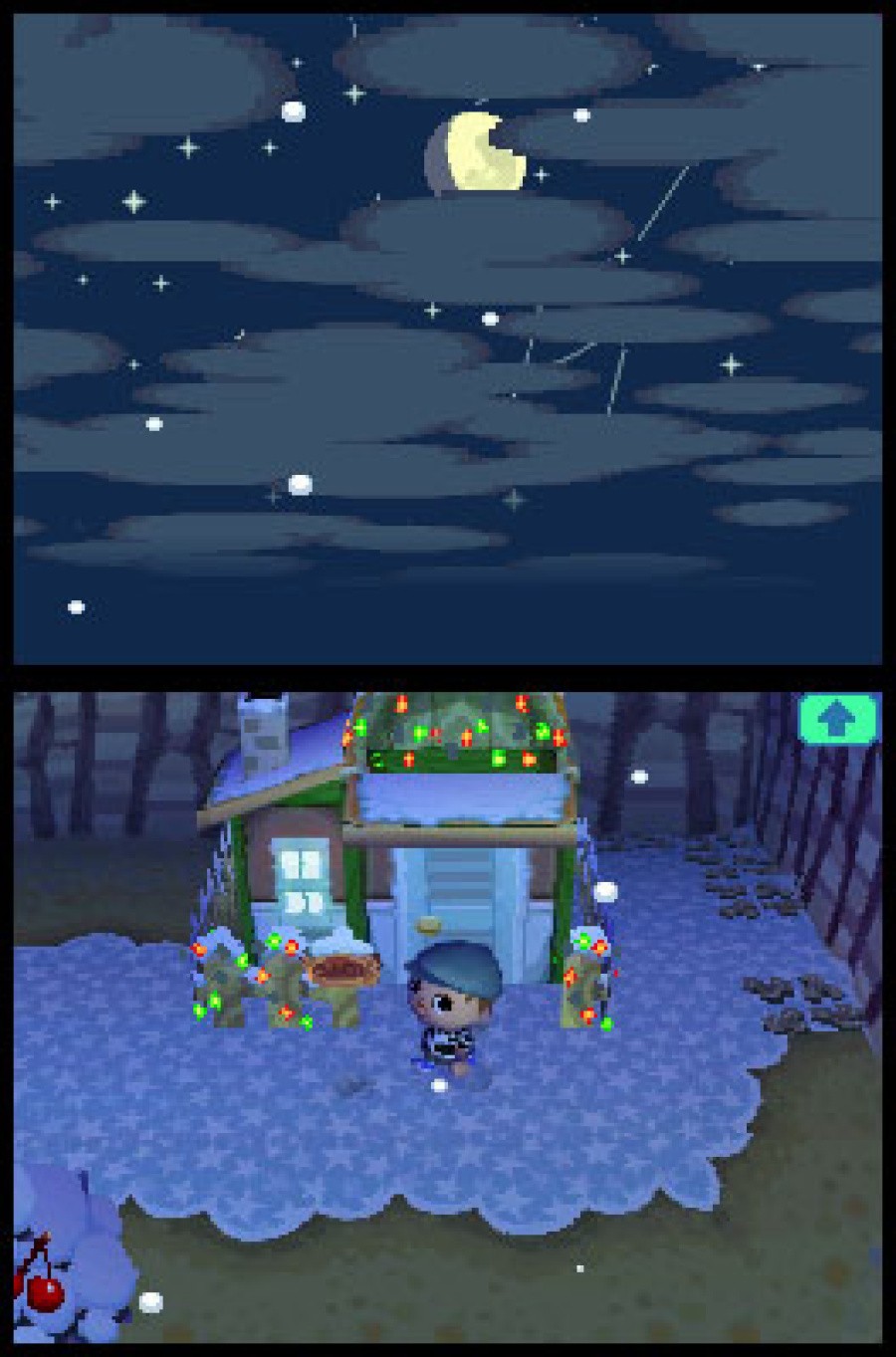 Animal Crossing: Wild World Screenshot