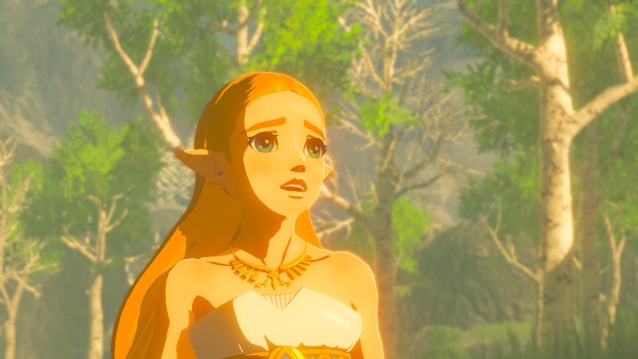 The Legend of Zelda: Breath of the Wild Screenshot