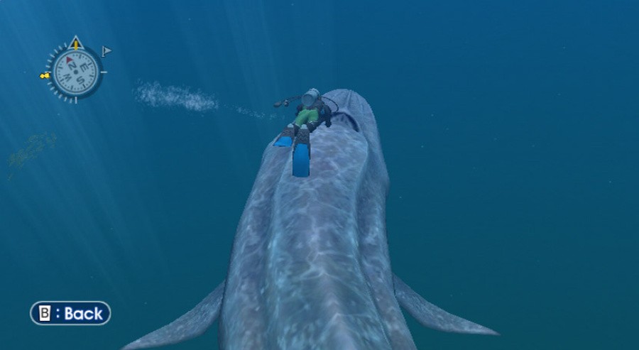 Endless Ocean Screenshot