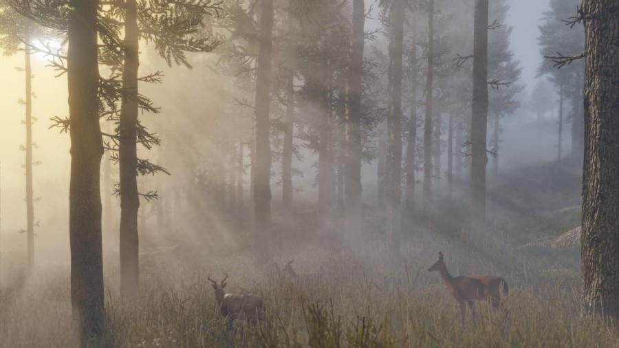 Red Dead Redemption 2 Screenshot